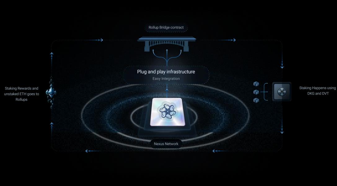 Nexus design diagram